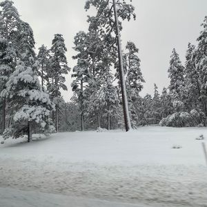 Meet your Posher, Estefanny